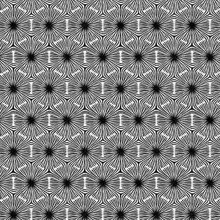 Hexagon Geo White Black 23916-99 Fabrics Northcott   