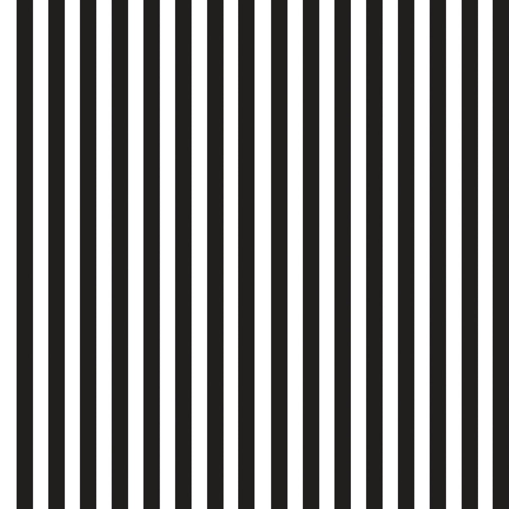 Stripe Piano Black & White C8832 Fabrics Timeless Treasures   
